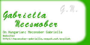 gabriella mecsnober business card